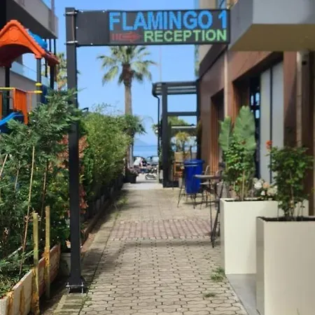 Flamingo1 *