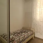 Flamingo1 *