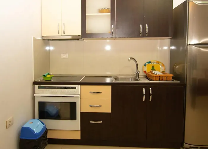 Flamingo1 * Vlora