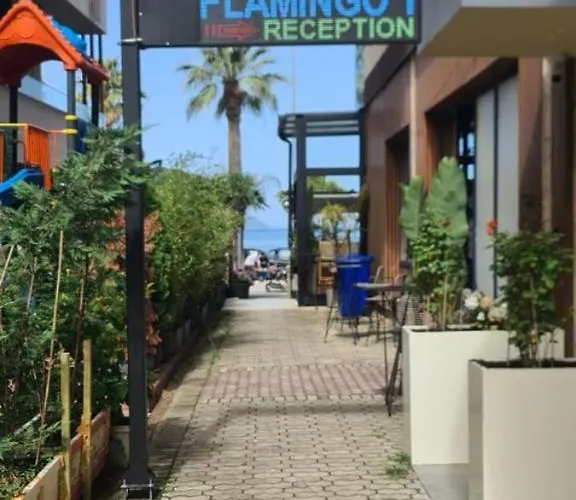 Flamingo1 *